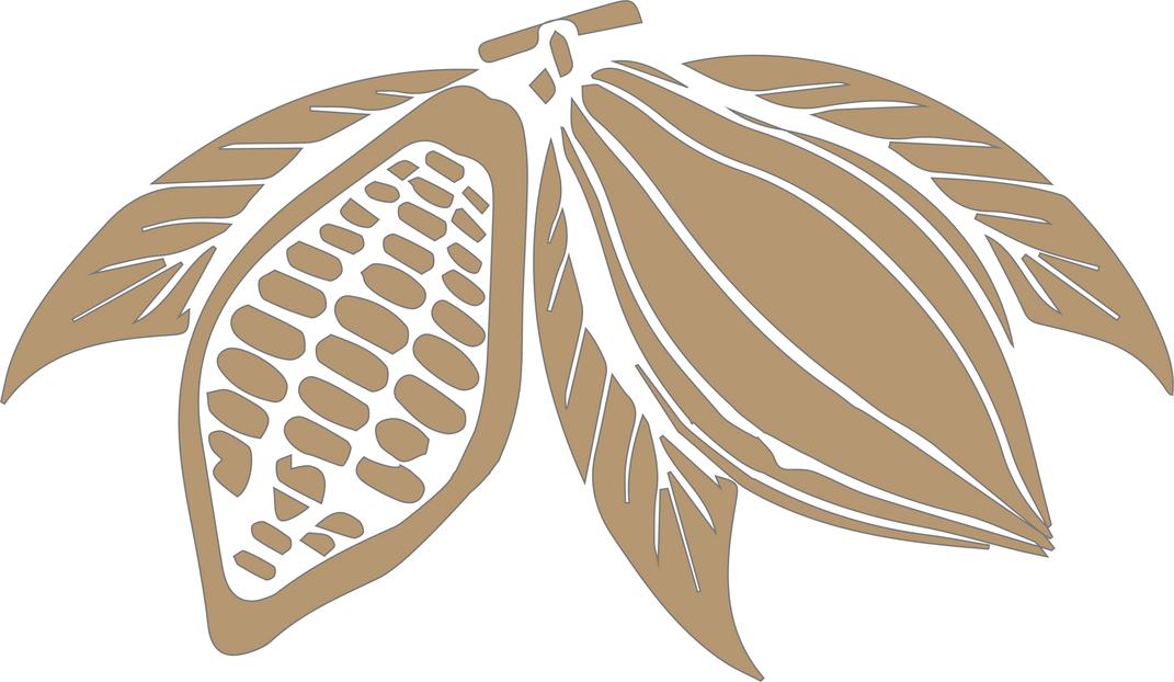 Cacao Plant Illustration